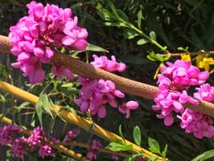 -济南国际园博园