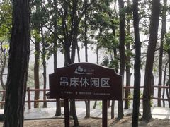 -铁山坪森林公园