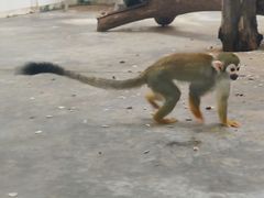 -西安秦岭野生动物园