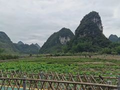 -靖西鹅泉风景区