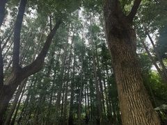 -东湖落雁景区