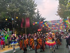 -青岛方特梦幻王国