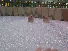 -兴芮温泉度假区