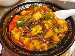 -陈麻婆豆腐总店
