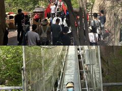 -嵖岈山风景区