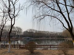 -东升八家郊野公园