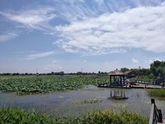 -焦岗湖旅游度假区