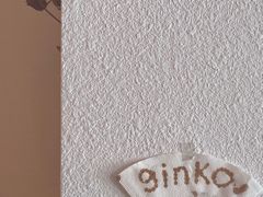 -Ginko银子(青龙街店)