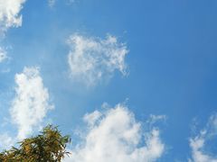 -寻味乌镇·龙虾烧烤