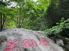 -王顺山国家森林公园