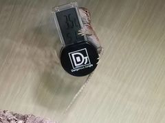 -酷以爬仙阁实体爬宠店·守宫·蜥蜴·专业繁育