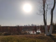 -七桥瓮公园
