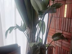 -泰合玺·精油疗愈SPA(狮山天街生活广场店)