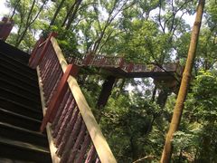 -南山植物园