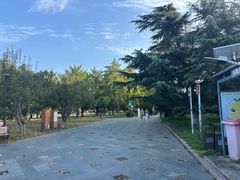 -太阳宫公园