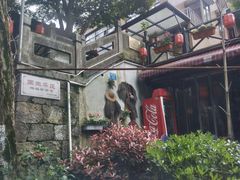 -国生茶庄·地道农家菜团建活动