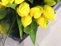 -秦美花卉(天朗·莱茵小城2期店)