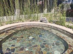 -中家鑫园温泉酒店鑫悦汤泉