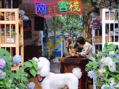 -香香腊排骨.野生菌火塘总店(束河店)