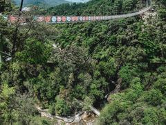 -九龙江国家森林公园