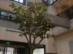 -大树餐厅(红旗街万达店)