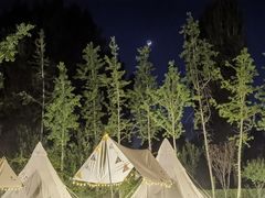 -林栖谷森林康养度假区