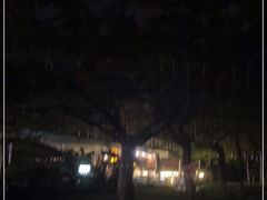 -三妹小龙虾·黄油蟹(华侨城总店)