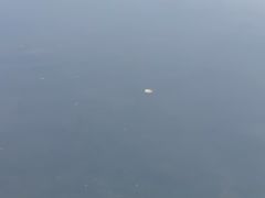 -钟山体育运动公园