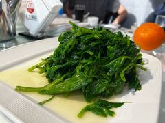 -正兴蜀园(科技园区店)