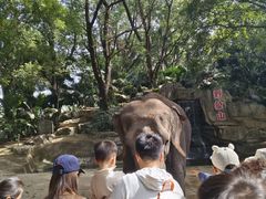 -深圳野生动物园