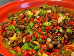 -新繁老號豌豆汤饭店·江湖菜(宝光寺店)