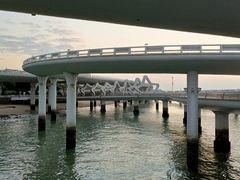 -演武大桥观景平台