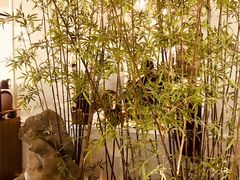 景观位-潮堂 · 潮州菜(恒隆广场店)