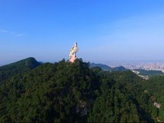 -大金鹰园