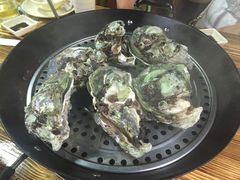 -大富蚝乌东哥饭店·石锅鱼杂·柠檬鸭(革新路店)
