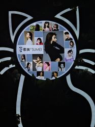 -素美医疗美容·西南眼鼻整形·修复基地