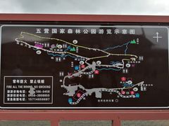 -五营红松林海景区