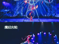 -广州长隆国际大马戏