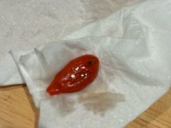 -小豆海棠(嘉兴路店)