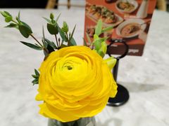 -gaga(深圳京基KKMALL店)