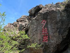 -树山生态村