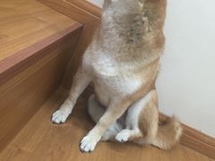 -SPARROW 家雀儿咖啡本店