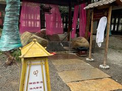 -观唐（国际）度假村温泉