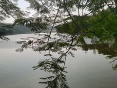 -东莞植物园