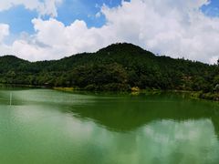 -广州白江湖森林公园