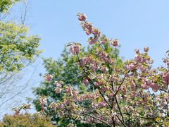 -上方山森林动物世界