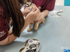-美联众合动物医院·24h京西诊疗中心