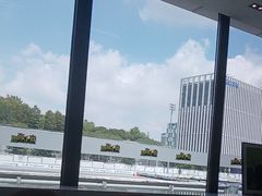 -赛卡联盟卡丁车馆(上海世博店)