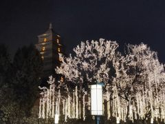 -大雁塔文化休闲景区-北广场