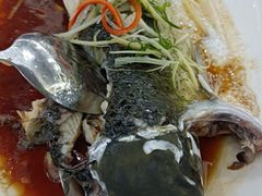 花椒蒸山坑鲩鱼-金榜大酒店-中餐